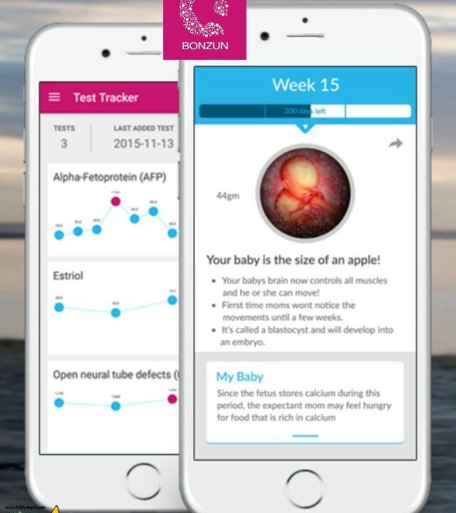 Bonzun is a week by week pregnancy app - its great for easing those pregnancy fears.