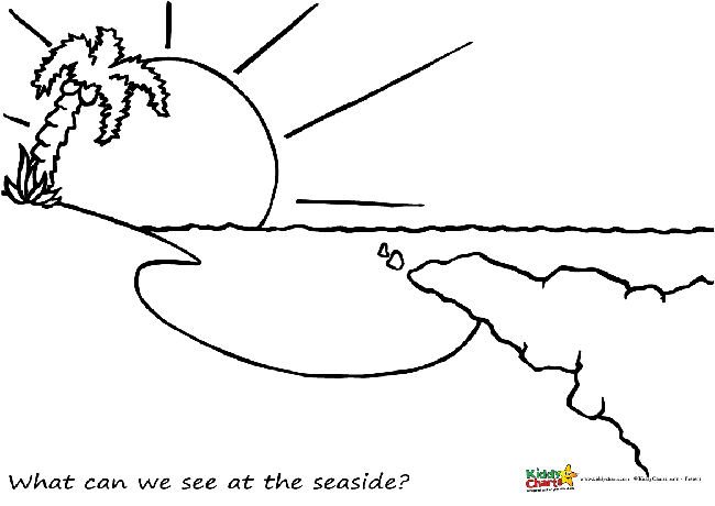 what can we see at the seaside